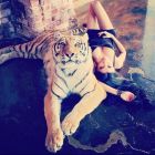 ТрансДиана, 8 918 208-88-79 ВИП шлюха ТрансДиана, 27 лет, рост: 170, вес: 58