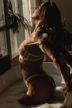 Дикий Василёк, 8 903 019-42-95