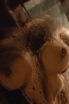 Дикий Василёк, 8 903 019-42-95